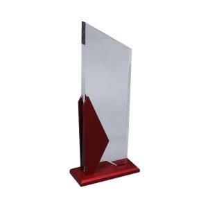 Other Acrylic Awards